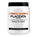 Stapiz Basic Salon Placenta Mask Maska do włosów z ekstraktami z bambusa i kiełków pszenicy 1000ml