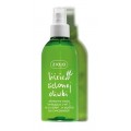 Ziaja Woda oliwkowa tonizujca z witamin C w sprayu licie zielonej oliwki 200ml