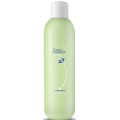 Silcare The Garden of Colour Cleaner pyn do odtuszczania pytki paznokcia Green Apple 1000ml