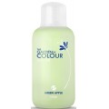 Silcare The Garden of Colour Cleaner pyn do odtuszczania pytki paznokcia Green Apple 150ml