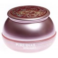 Bergamo Pure Snail Wrinkle Care Cream przeciwzmarszczkowy krem do twarzy z ekstraktem ze śluzu ślimaka 50ml