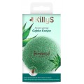 KillyS Botanical Inspirations gbka konjac do mycia twarzy z aloesem do skry normalnej