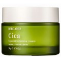 Bergamo Essential Intensive Cream ujdrniajcy krem do twarzy Cica 50g