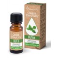 Vera Nord Naturalny olejek eteryczny Bazylia 10ml