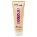 Stapiz Sleek Line Colour Mask Maska z jedwabiem do wosw farbowanych 250ml