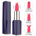 S-Hande Lipstick dyskretny wibrator w etui z wymiennymi kocwkami z 9 trybami wibracji Black