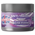 Ronney Professional Silver Power Anti-Yellow Pigment Mask maska do wosw blond, rozjanianych i siwych 300ml