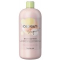 Inebrya Ice Cream Frequent Best Care regenerujcy szampon do wosw 1000ml