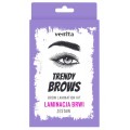 Venita Trends zestaw do laminacji brwi szczoteczka 3szt + klej + farbka + utrwalacz