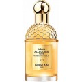 Guerlain Aqua Allegoria Forte Mandarine Basilic Woda perfumowana 125ml spray