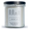 Hagi wieca sojowa Zimowy Las 230g
