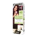 Cameleo Color Essence krem koloryzujący do włosów 6.2 Burgund 75g