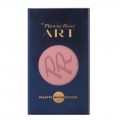 Pierre Rene Art Palette Match System wkad do palety magnetycznej r do policzkw 01 5,5g