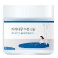 Round Lab Birch Juice Moisturizing Cream nawilżający krem na bazie soku brzozowego 80ml