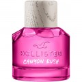 Hollister Canyon Rush For Her Woda perfumowana 100ml spray