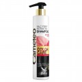 Cameleo Color Care szampon do włosów farbowanych 250ml