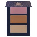 Pierre Rene Cream Contouring paleta do modelowania rysw twarzy 03 12g