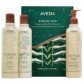 Aveda Rosemary Mint Szampon do wosw 250ml + odywka do wosw 250ml + pyn do mycia ciaa i rk 250ml