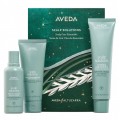Aveda Scalp Solutions Szampon do wosw 100ml + odywka do wosw 100ml + zuszczajcy zabieg na skr gowy 150ml