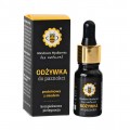 Miodowa Mydlarnia Odywka do paznokci Proteinowa z miodem 10ml