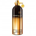 Montale Amber Musk Woda perfumowana 100ml spray