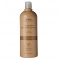 Aveda Hair Detoxifier Shampoo szmpon do wosw 1000ml