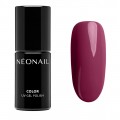 NeoNail UV Gel Polish Color lakier hybrydowy 7975 Feel Gorgeous 7,2ml NeoNail UV Gel Polish Color lakier hybrydowy 7975 Feel Gorgeous 7,2ml