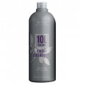 Aveda Color Catalyst Liquid Developer kondycjonuj�cy utleniacz w p�ynie 10L Volume 887ml