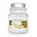 Yankee Candle Small Jar Maa wieczka zapachowa Camellia Blossom 104g