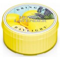 Kringle Candle Daylight wieczka zapachowa Lemon Lavender 35g