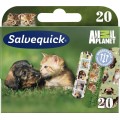 Salvequick Animal Planet plastry dla dzieci 20szt