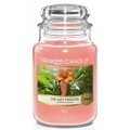Yankee Candle Large Jar dua wieczka zapachowa The Last Paradise 623g