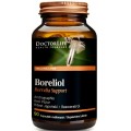 Doctor Life Boreliol Borrelia Support suplement diety 90 kapsuek