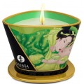 Shunga Massage Candle Chandelle A Massage wieca do masau Green Tea 170ml