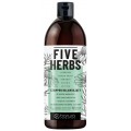 Barwa Five Herbs szampon balansujcy do wosw normalnych i przetuszczajcych si 480ml