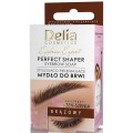 Delia Eyebrow Expert Perfect Shaper stylizujco-pilgnujce mydo do brwi Brzowy 10ml