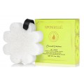 Spongelle Boxed White Flower gbka nasczona mydem do mycia ciaa Coconut Verbena
