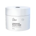Elever Luminous Algae Mask maska algowa na twarz 100g  Elever Luminous Algae Mask maska algowa na twarz 100g