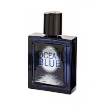 Omerta Silver Ocean Woda toaletowa 100ml
