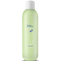 Silcare The Garden of Colour Cleaner pyn do odtuszczania pytki paznokcia Green Apple 1000ml