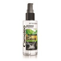 Cameleo Anti Damage jedwab do wosw zniszczonych 55ml