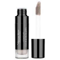 Pierre Rene Contour Concealer kryjący korektor w płynie 01