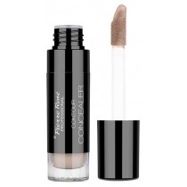 Pierre Rene Contour Concealer kryjcy korektor w pynie 02