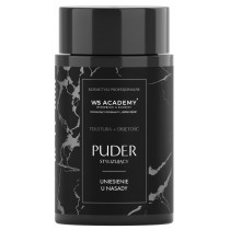 WS Academy Puder stylizujący do włosów nadający teksturę i objętość 10g