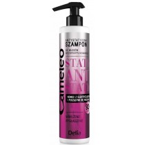 Cameleo Anti-Static szampon antystatyczny do wosw niezdyscyplinowanych 250ml