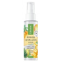 Lirene Power of Plants hydrolat do twarzy Mango 100ml