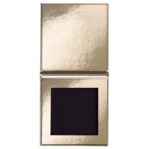 Pierre Rene Professional magnetyczna paleta do cienie na 4 sztuki Gold