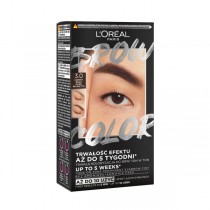 L`Oreal Brow Color zestaw do koloryzacji brwi 3.0 Dark Brunette