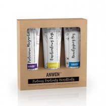 Anwen Odżywki do włosów o średniej porowatości Proteinowa Orchidea 100ml + Emolientowy Irys 100ml + Nawilżający Bez 100ml