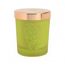 Etro Dafne wieca 170g